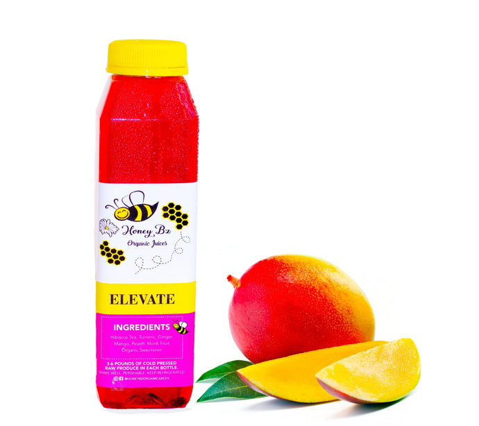 Elevate Hibiscus Tea - Honey Bz's Organic Juices