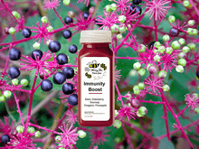 Load image into Gallery viewer, Juice Shot Box - Honey Bz&#39;s Organic Juices